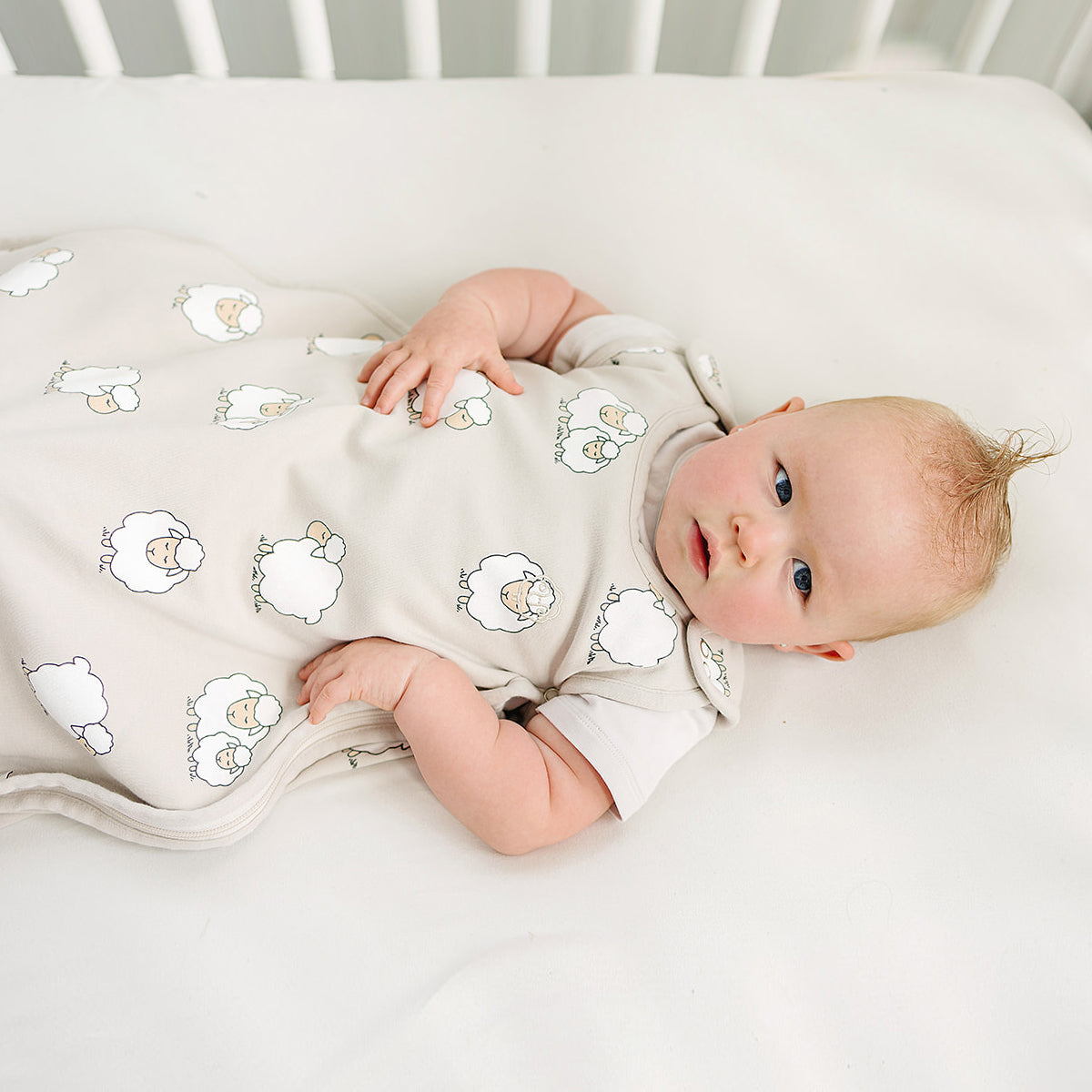 4 Season® Ultimate Baby Sleep Bag, Merino Wool & Organic Cotton, Sheep